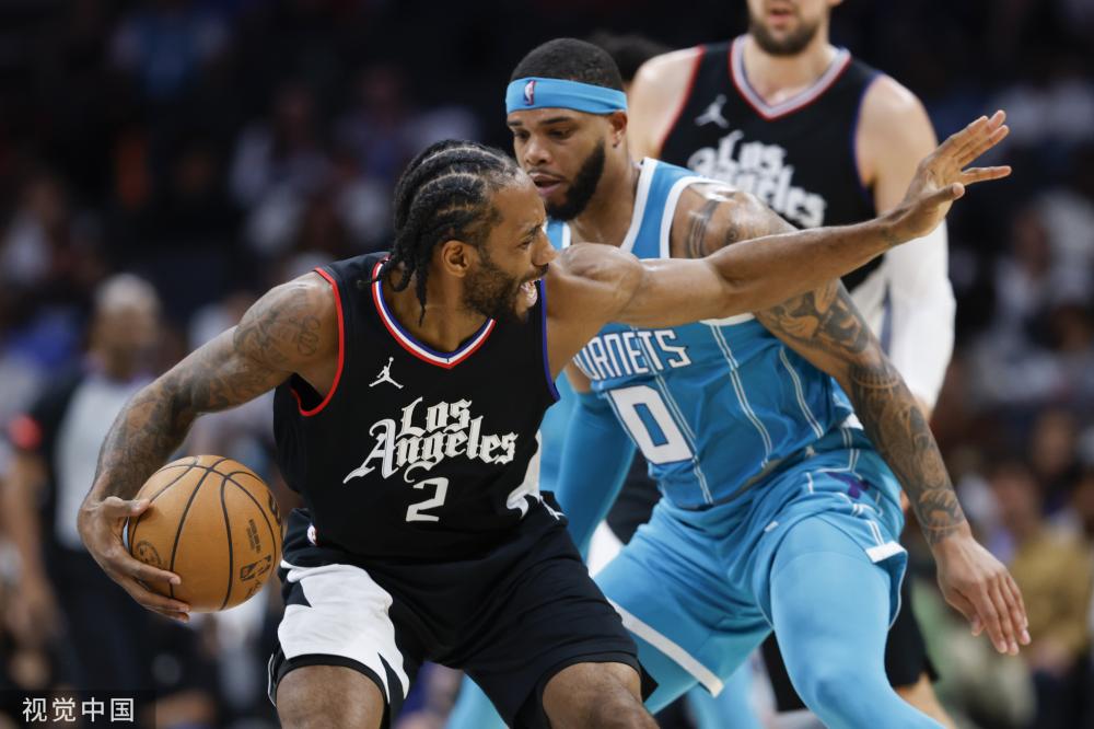 受伤海鸥难 受伤海鸥难